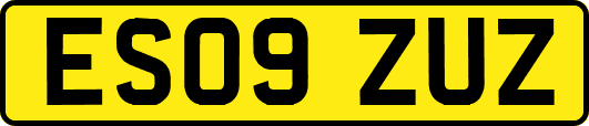 ES09ZUZ