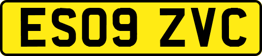 ES09ZVC