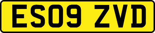 ES09ZVD