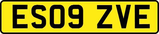 ES09ZVE
