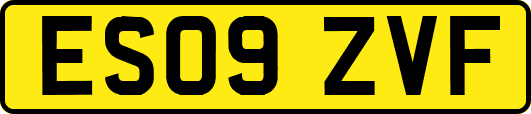 ES09ZVF
