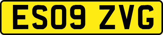 ES09ZVG