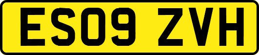 ES09ZVH