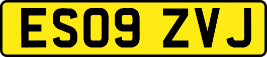 ES09ZVJ
