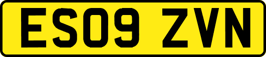 ES09ZVN