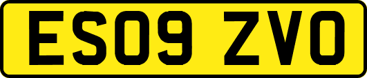 ES09ZVO