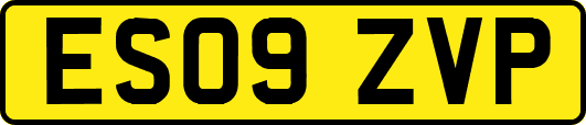 ES09ZVP