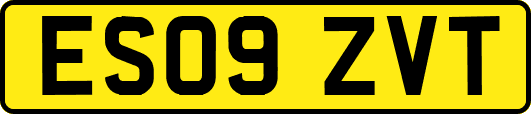 ES09ZVT