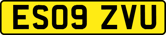 ES09ZVU