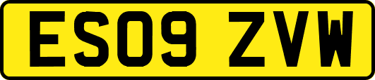ES09ZVW