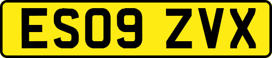 ES09ZVX