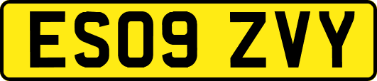 ES09ZVY