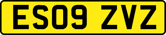 ES09ZVZ