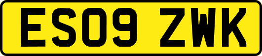 ES09ZWK