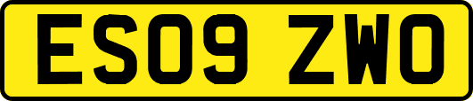 ES09ZWO