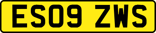 ES09ZWS