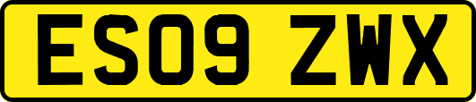 ES09ZWX