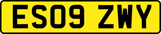 ES09ZWY