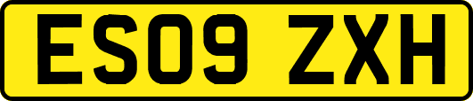ES09ZXH