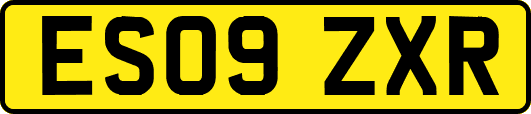ES09ZXR
