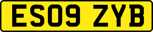 ES09ZYB