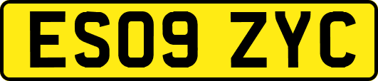 ES09ZYC