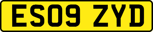 ES09ZYD