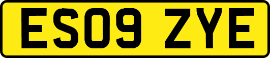 ES09ZYE
