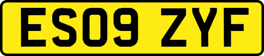 ES09ZYF