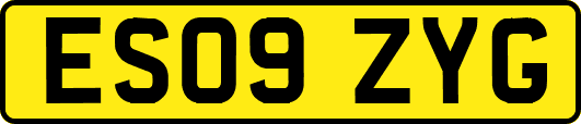 ES09ZYG