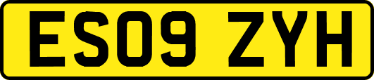ES09ZYH
