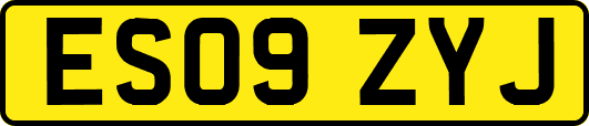ES09ZYJ