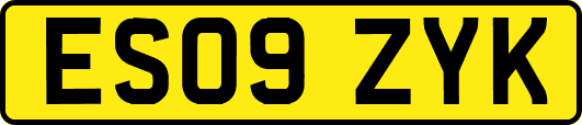 ES09ZYK