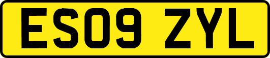 ES09ZYL