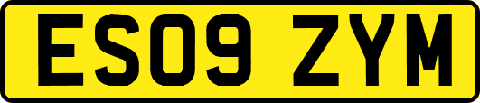 ES09ZYM