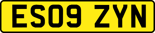 ES09ZYN
