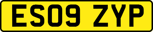 ES09ZYP