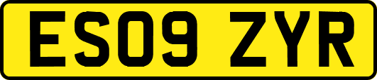 ES09ZYR