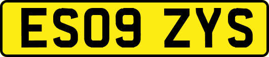 ES09ZYS