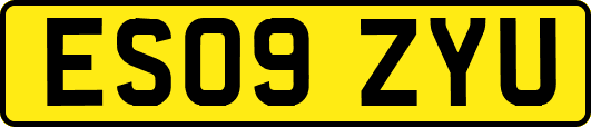 ES09ZYU