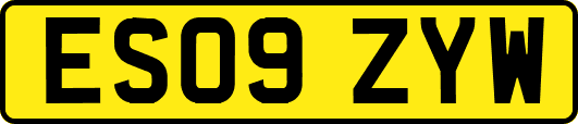 ES09ZYW