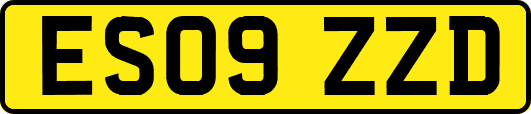 ES09ZZD