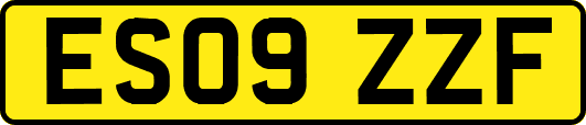 ES09ZZF