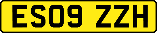 ES09ZZH
