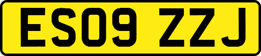 ES09ZZJ