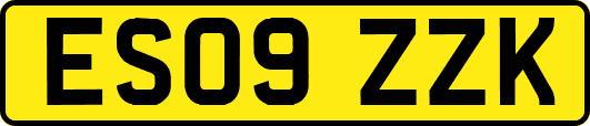 ES09ZZK