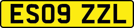 ES09ZZL