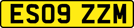 ES09ZZM