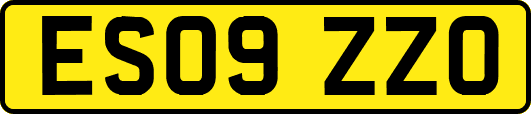 ES09ZZO