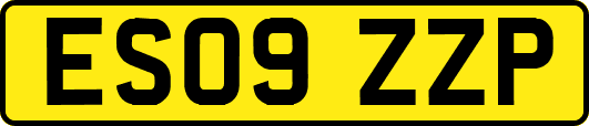 ES09ZZP